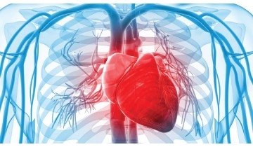 Vitamin K Reverses Arterial Stiffness